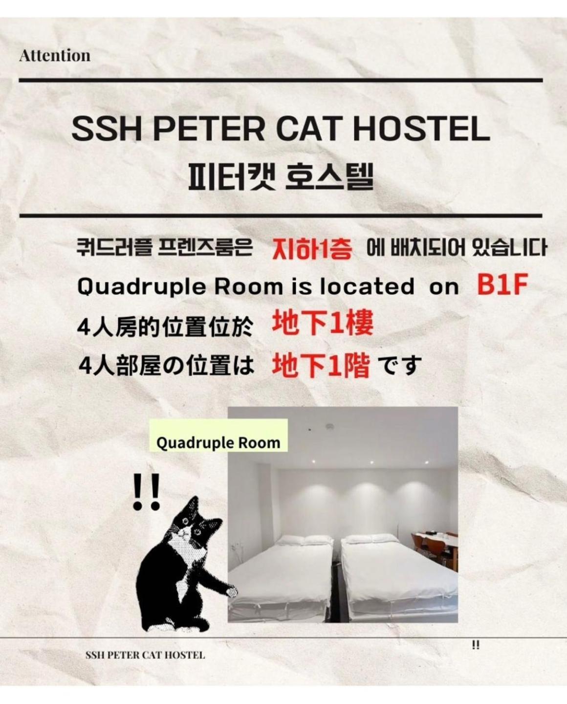 Ssh Ikseon Peter Cat Hostel Seoul Exterior photo